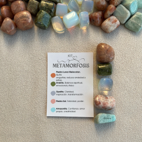 Kit metamorfosis